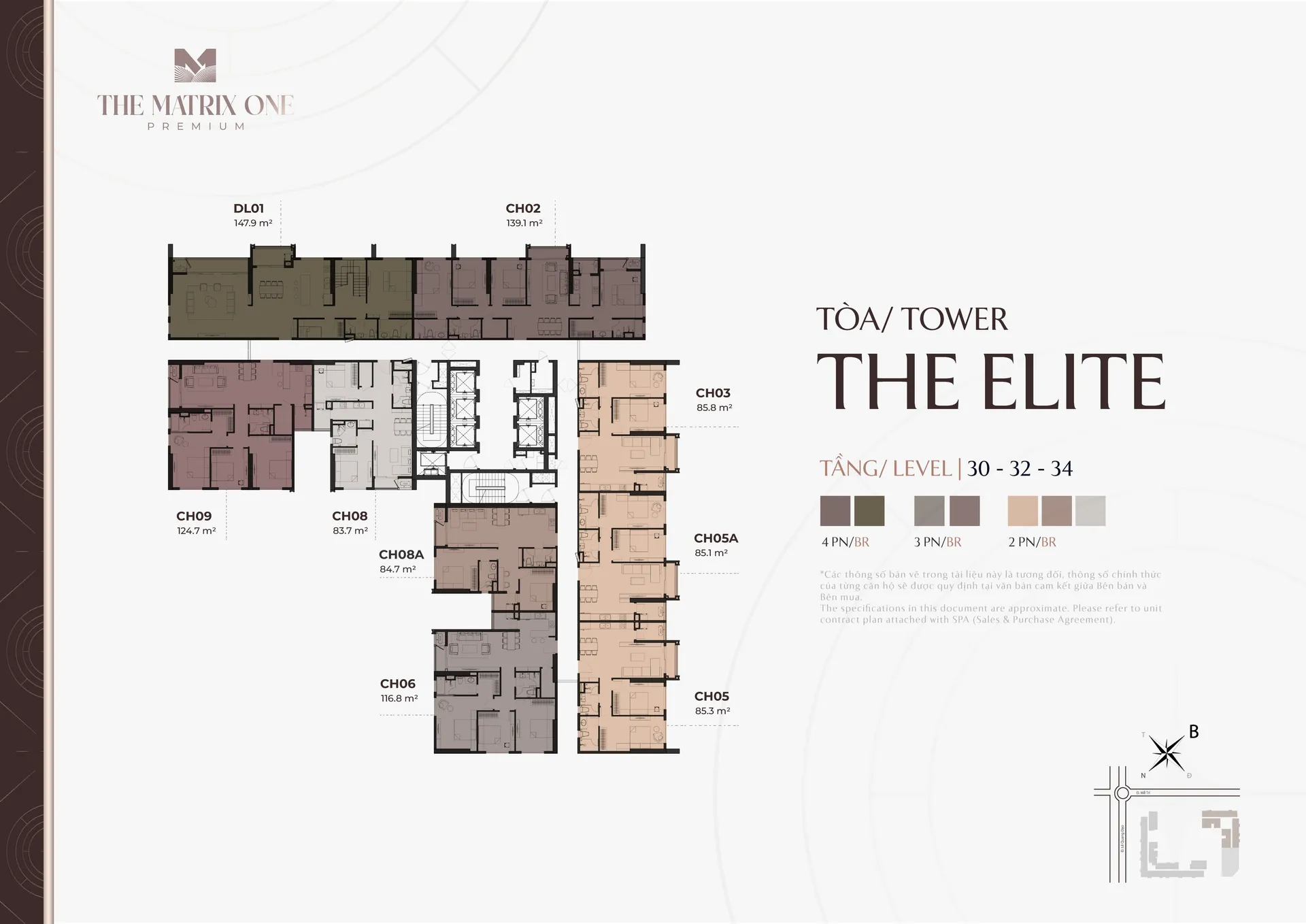 The Elite (30, 32, 34)
