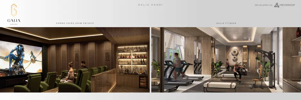 gym-galia-ha-noi
